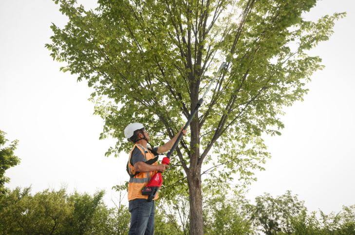 Tesoura Corta Ramos Extensível M18 - Image 6