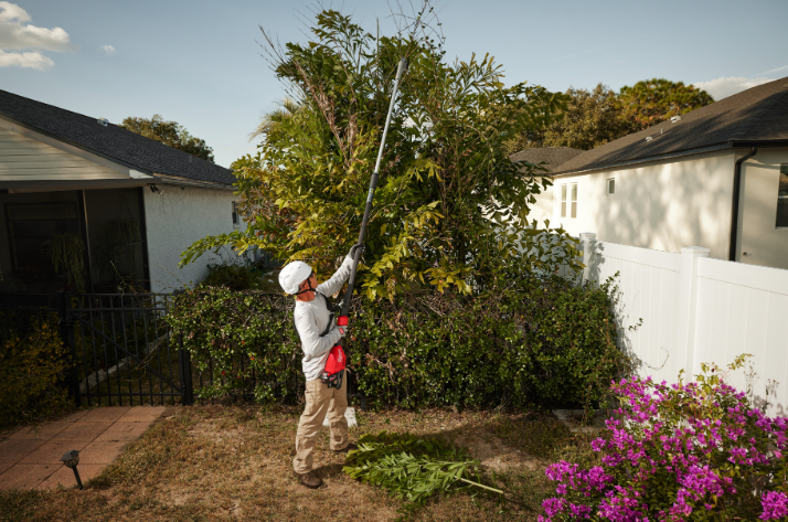 Tesoura Corta Ramos Extensível M18 - Image 7
